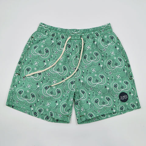 Board Shorts【BDN】Green